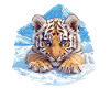 Siberian tigers Siberian tigers