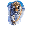 Siberian tigers Siberian tigers