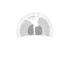 Je suis danseuse de ballet