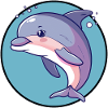 Dolphin Marine Animals Sea