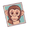 Monkey Monkey Zoo Animal