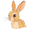Rabbit Tooth Rabbit