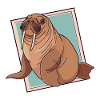 Walrus Arctic Sea Creatures