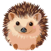 Igel Herbst