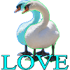 Elegant swans in sleek design