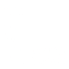 1975 limited edition