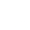 1973 limited edition