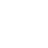Bitcoin Evolution