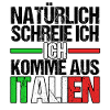 Italy Italian Vaffanculo