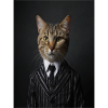 Katt Portrett av katt i stripet dress og slips