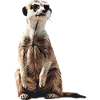 Meerkat