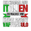 Italie Vaffanculo italien