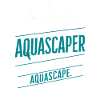Creative Aquascaper Expert Design Aquascaping