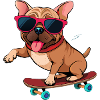 Cool dog in action