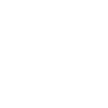 Zyler