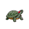 Turtle Red-eared Turtle