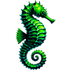 Hippocampe