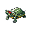 Turtle Red-eared Turtle