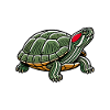 Turtle Red-eared Turtle