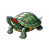 Turtle Red-eared Turtle