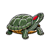 Turtle Red-eared Turtle