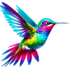 Colibri