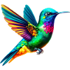 Colibri