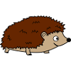 Hedgehog 02
