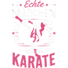 Karate Martial Arts Fighter Karate