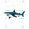 Requin Requin Requins Requin