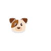True dog love
