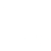 1977 Limited Edition