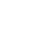 1982 limited edition