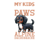 Alpine Dachsbracke Papa