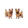 Australian Terrier Gifts
