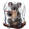 Koala