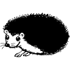 Hedgehog black & white