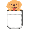 Hund in Tasche