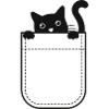 Katze in der Tasche