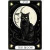 Mysterious Cat Moon Tarot Card