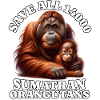 Save Orangutan