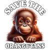 Orangutan