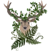 Deer & Ferns