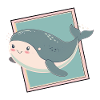 Marine Life Marine Animal Whale