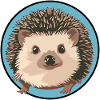 Hedgehog Prickly Pointed