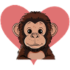 Monkey Zoo Animal Monkey