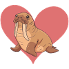 Walrus Sea Creatures Sea Creatures