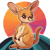 Kangaroo marsupial Sydney