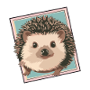 Hedgehog Porcupine Prickly
