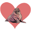 Walrus Sea Animal Marine Animals